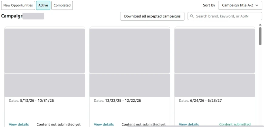 Pestaña Active con tres campañas aceptadas: dos dicen Content not submitted yet y una Content submitted